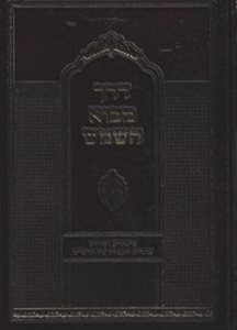 דרך מבוא השמש - הרש"ש | ר' יצחק ארלנגר