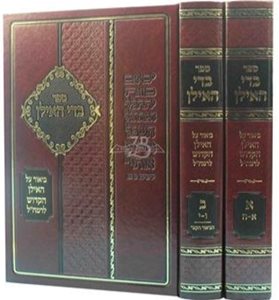 בדי האילן ב' כרכים - ביאור האילן הקדוש | רמח"ל