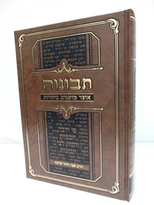 תבונות - אוצר מושגים ביהדות